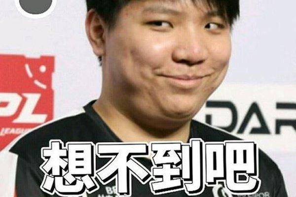 会介绍各项
