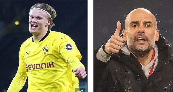 技的双保险 技的双保险